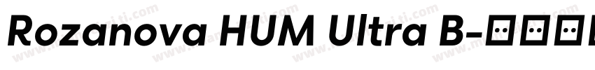 Rozanova HUM Ultra B字体转换